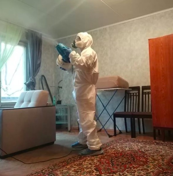 дезинсекция квартиры в Медыни